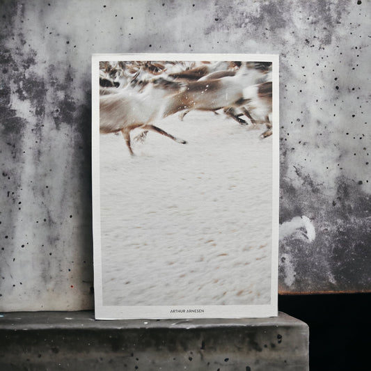 Kunstkort - Rein # 2