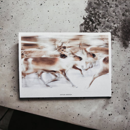 Kunstkort - Rein # 1